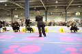 IMG_0298
