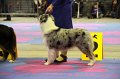 IMG_0316