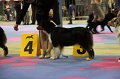 IMG_0326