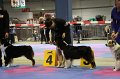 IMG_0328