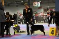 IMG_0330