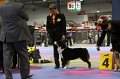 IMG_0332