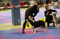 IMG_0340
