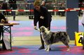 IMG_0347