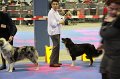 IMG_0350