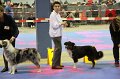 IMG_0352
