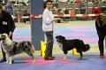 IMG_0353