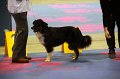 IMG_0354