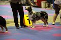 IMG_0360