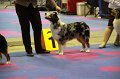 IMG_0361