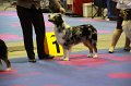 IMG_0362
