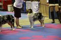 IMG_0365