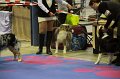 IMG_0367