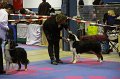 IMG_0369