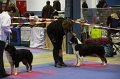 IMG_0370