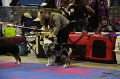IMG_0371