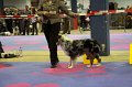 IMG_0375