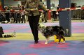 IMG_0376