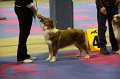 IMG_0407