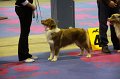 IMG_0408