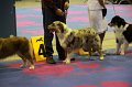 IMG_0410