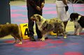 IMG_0411