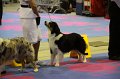 IMG_0412