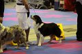 IMG_0413