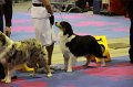 IMG_0414