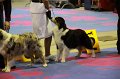 IMG_0415