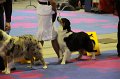 IMG_0416