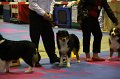 IMG_0418