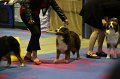 IMG_0419