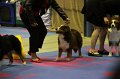 IMG_0420