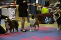 IMG_0422