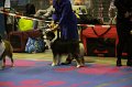 IMG_0423