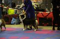 IMG_0424