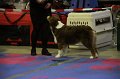 IMG_0428