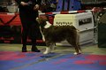 IMG_0430