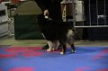 IMG_0431