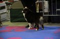 IMG_0433