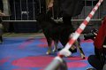 IMG_0435
