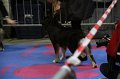 IMG_0436