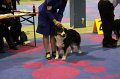 IMG_0439