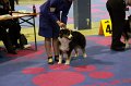 IMG_0440
