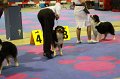 IMG_0441
