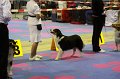 IMG_0443