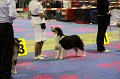 IMG_0444