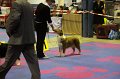 IMG_0445