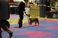 IMG_0446